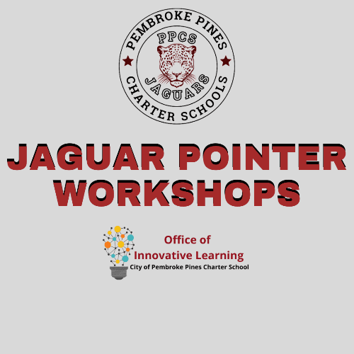Jaguar Pointer Workshops